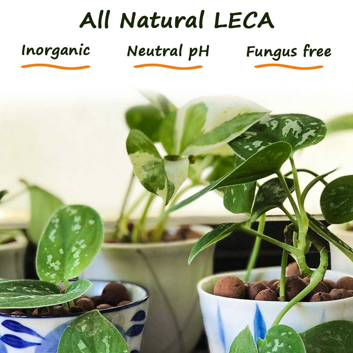 LECA for Plants 4-16mm Small Expanded Clay Pebbles for Hydroponic Growing - Image 3