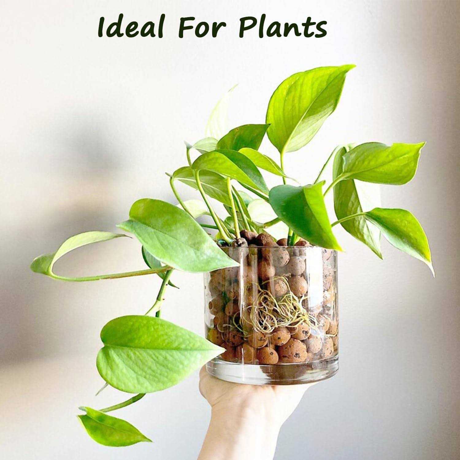 LECA for Plants 4-16mm Small Expanded Clay Pebbles for Hydroponic Growing - Image 5