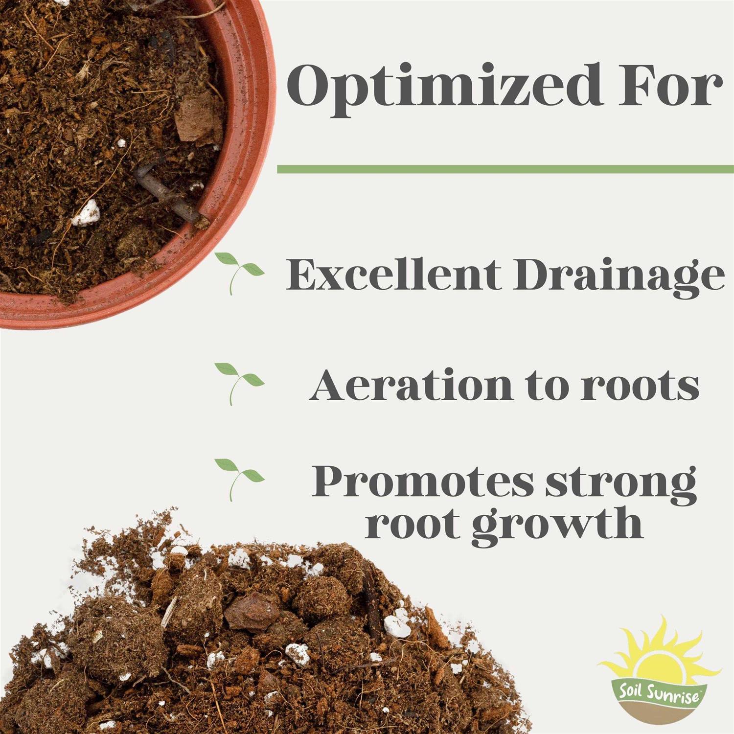 Soil Sunrise Monstera Houseplant Potting Soil Mix - Image 4