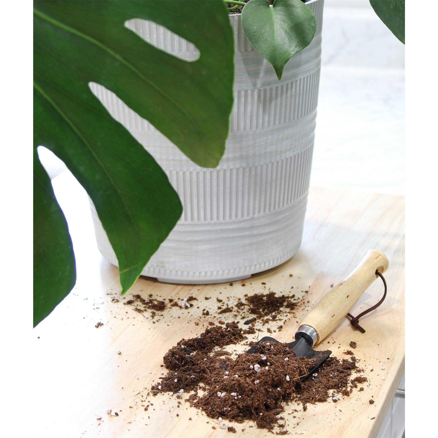 Soil Sunrise Monstera Houseplant Potting Soil Mix - Image 5