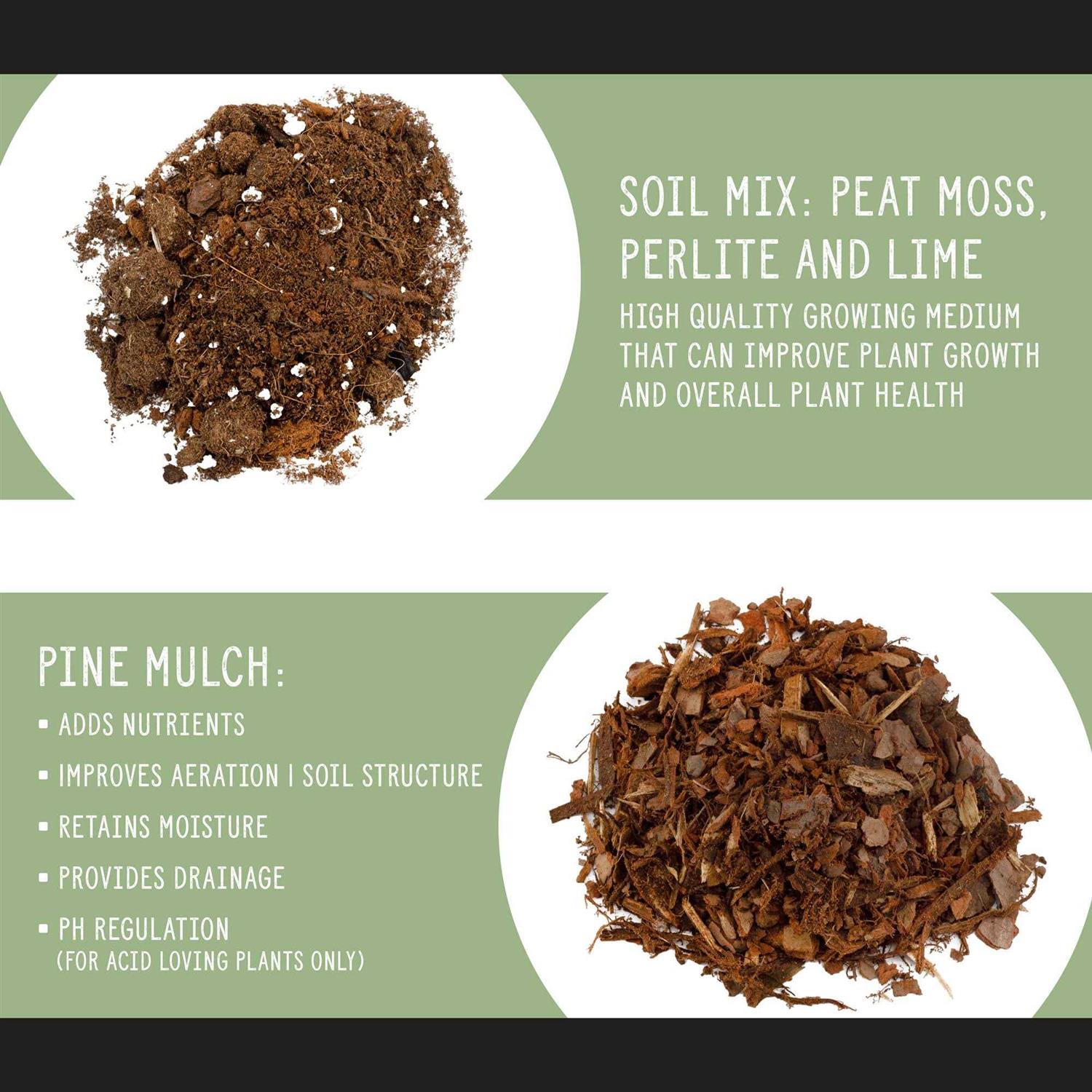 Soil Sunrise Monstera Houseplant Potting Soil Mix - Image 2