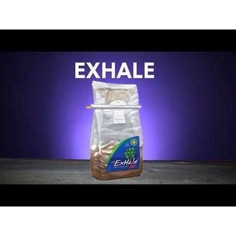 ExHale 365 Self Activated CO2 Bag - Image 2