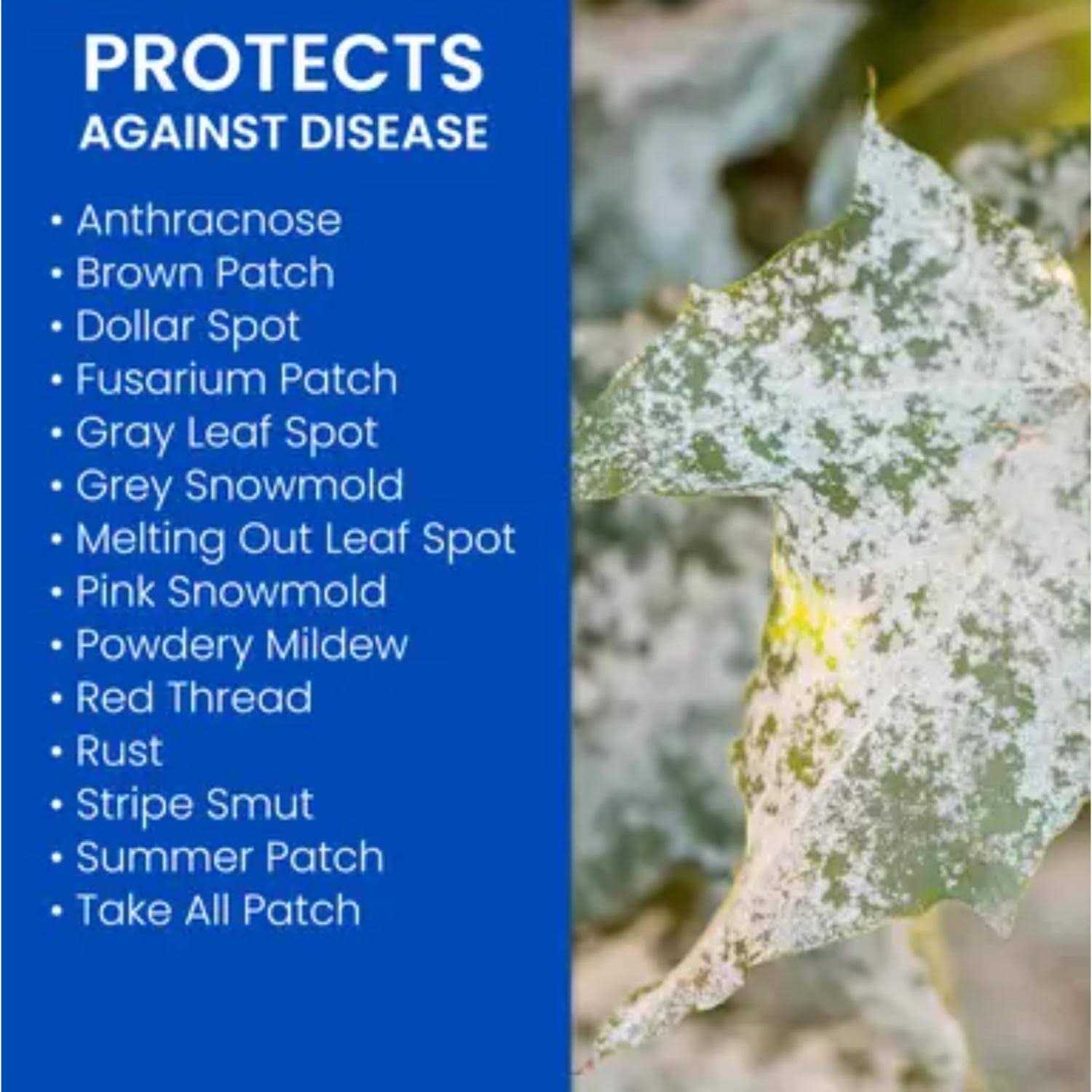 BioAdvanced Fungus Control For Lawns - Image 2