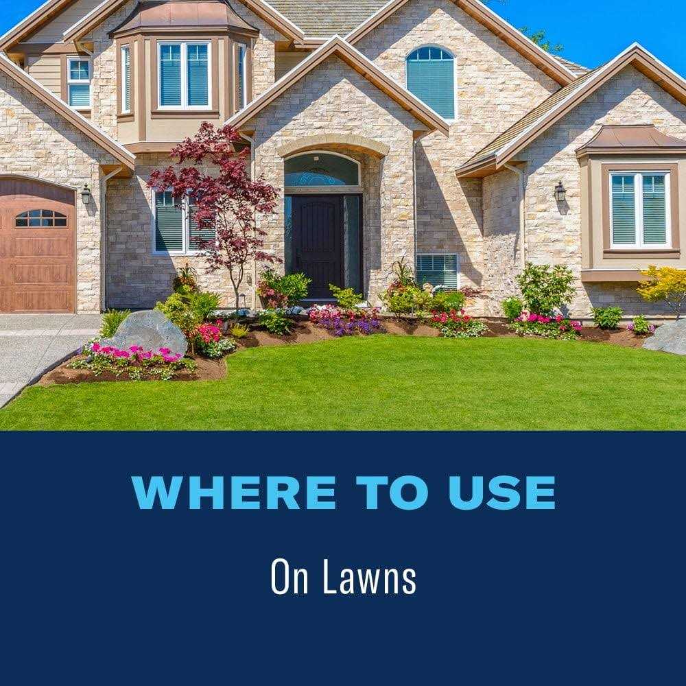 BioAdvanced Fungus Control For Lawns - Image 3