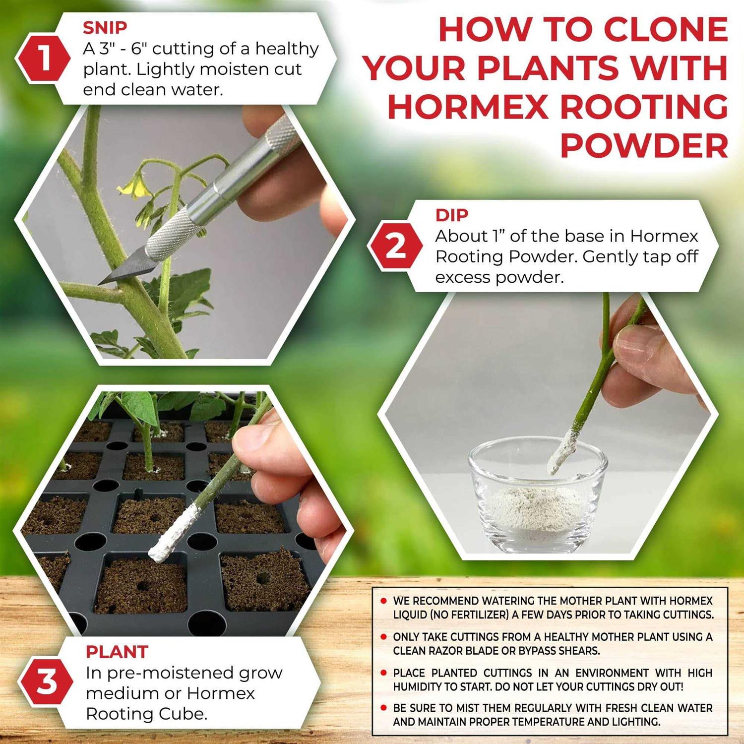 Hormex Rooting Powder - Image 3