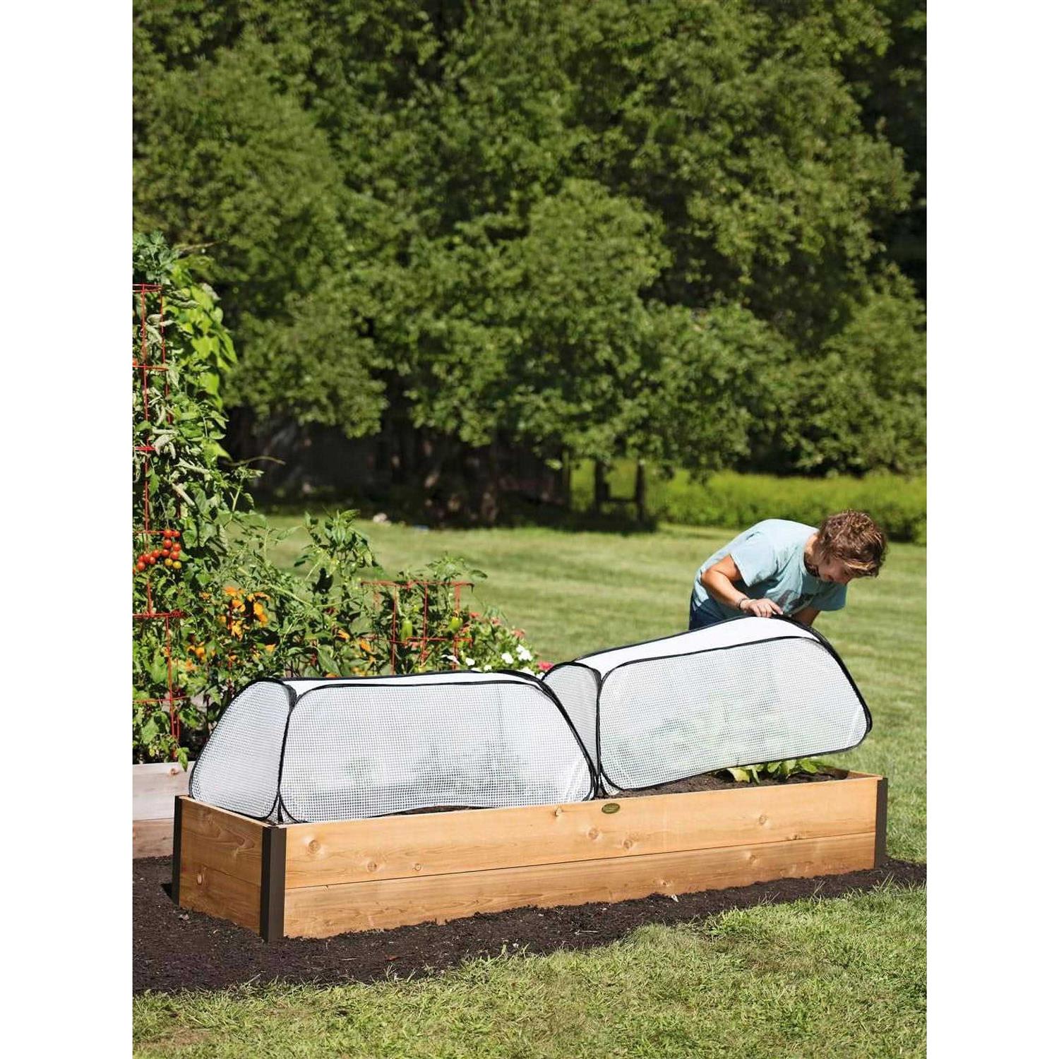 Row Shelter Accelerator