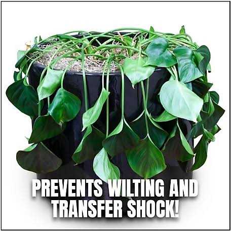 Moisturize Anti-Transpirant - Image 2