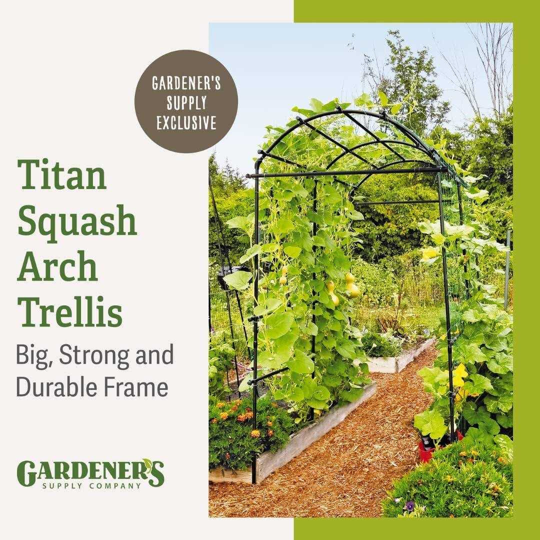 Gardener's Supply Company Gardener's Supply Company Extra Tall Garden Arch Arbor 80in Titan Squash Tunnel - Image 2