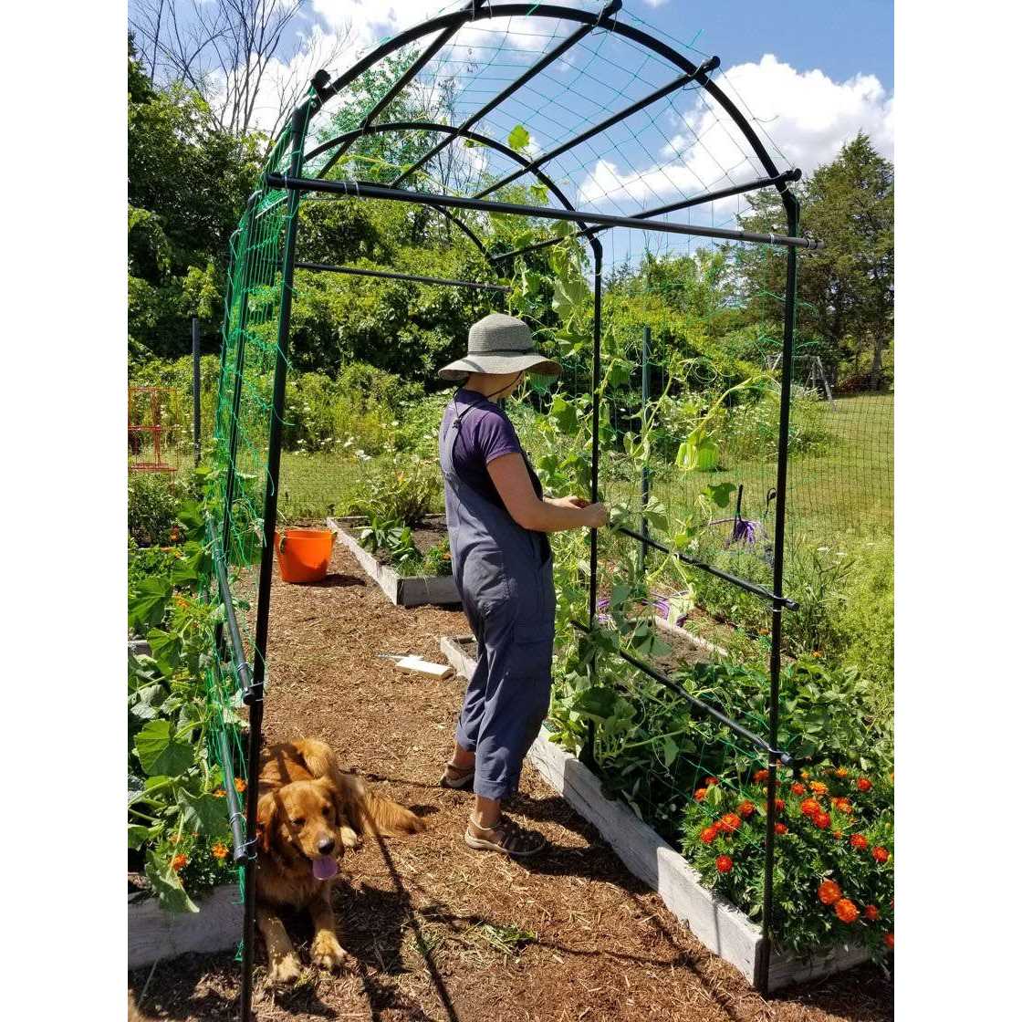 Gardener's Supply Company Gardener's Supply Company Extra Tall Garden Arch Arbor 80in Titan Squash Tunnel - Image 3