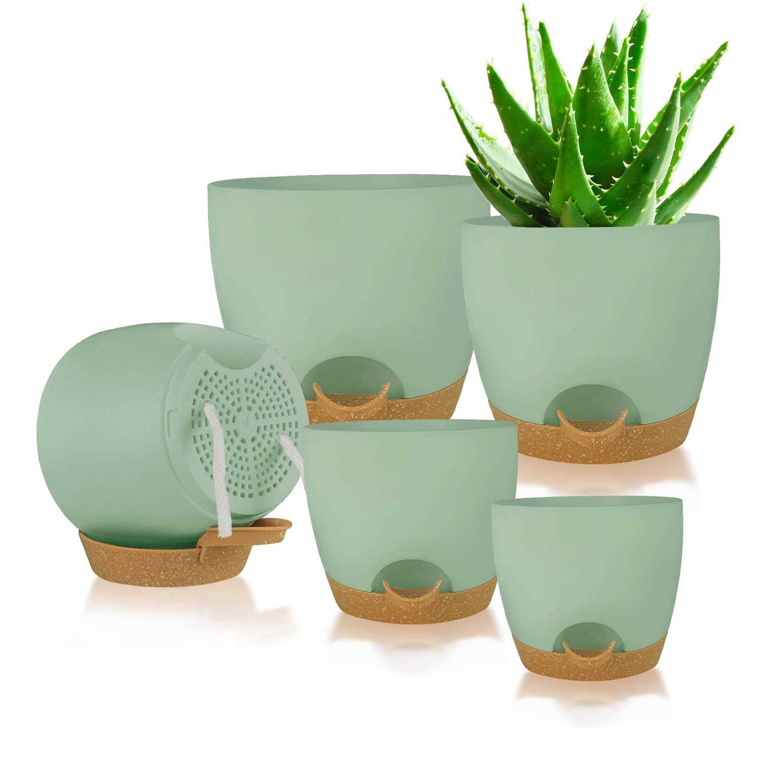 Self Watering Planters with Drainage Holes Reservoir,Nursery Planting Pot for Indoor Decor Garden Plants Succulents,Snake Plant - Image 4