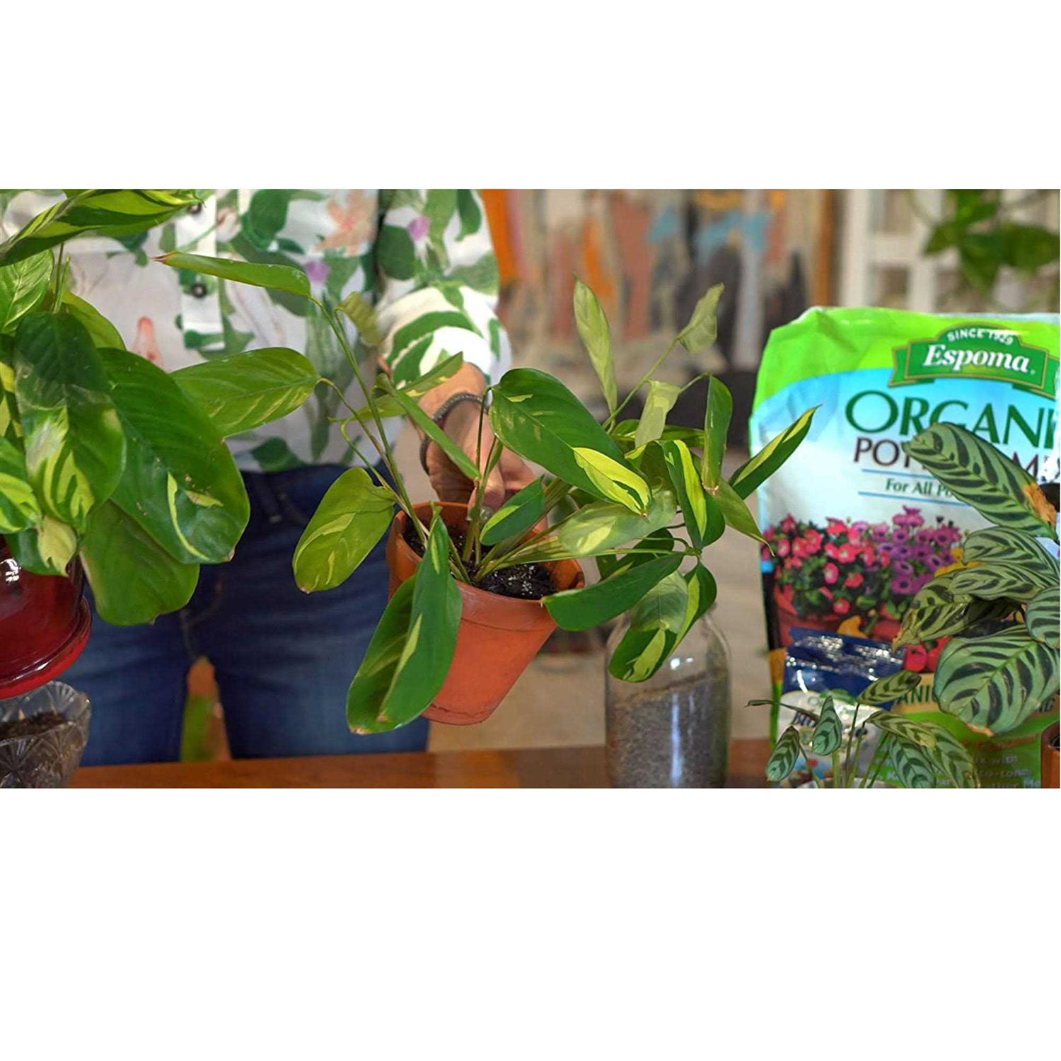 Espoma Organic Potting Mix - Image 5