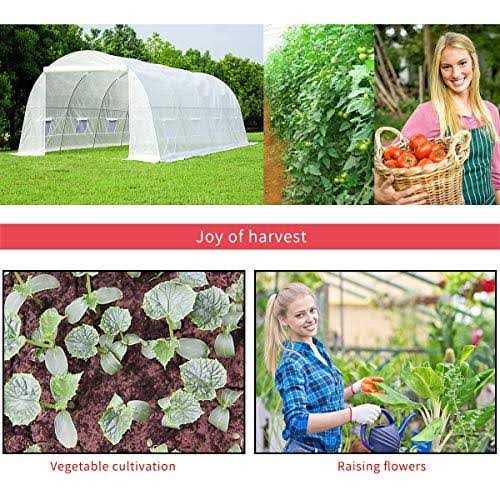 Erommy 10' x 7' Greenhouse Large Gardening Plant Hot House Portable Walking in Tunnel Tent - Image 5