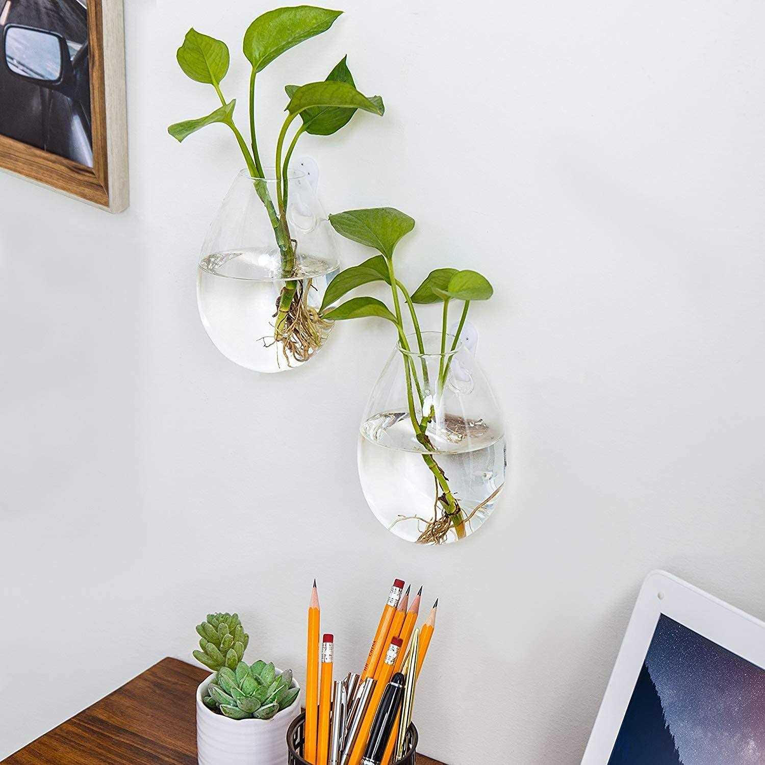 Fashiostorm 5 Packs Wall Hanging Planters Glass Plant Pots Water Containers Flower Air Terrariums Terrarium - Image 2