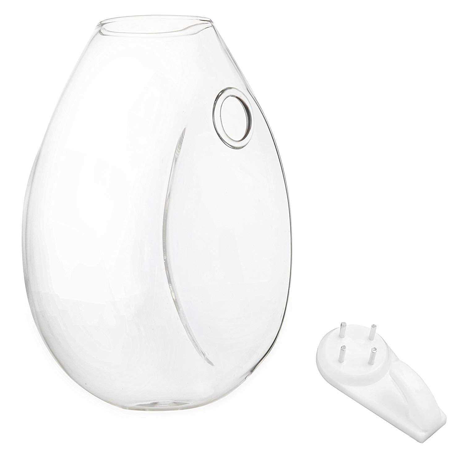 Fashiostorm 5 Packs Wall Hanging Planters Glass Plant Pots Water Containers Flower Air Terrariums Terrarium - Image 3