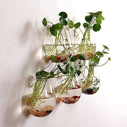 Fashiostorm 5 Packs Wall Hanging Planters Glass Plant Pots Water Containers Flower Air Terrariums Terrarium - Image 4