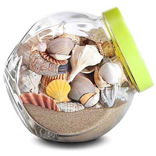 Mosser Lee Desert Sand Desert Soil Cover 5 lb - Image 3