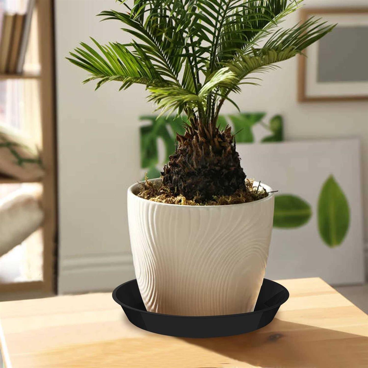 Dunpute 6 Pack Plant Saucer 12 14 16 18 20 Inch Plastic Plant Tray, Sturdy and Durable Flower Pot Containers Plant Pot Saucers F - Image 2