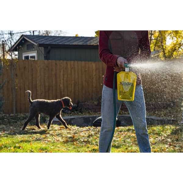 Sunday Lawn Kickstart Fertilizer Lawn - Image 2