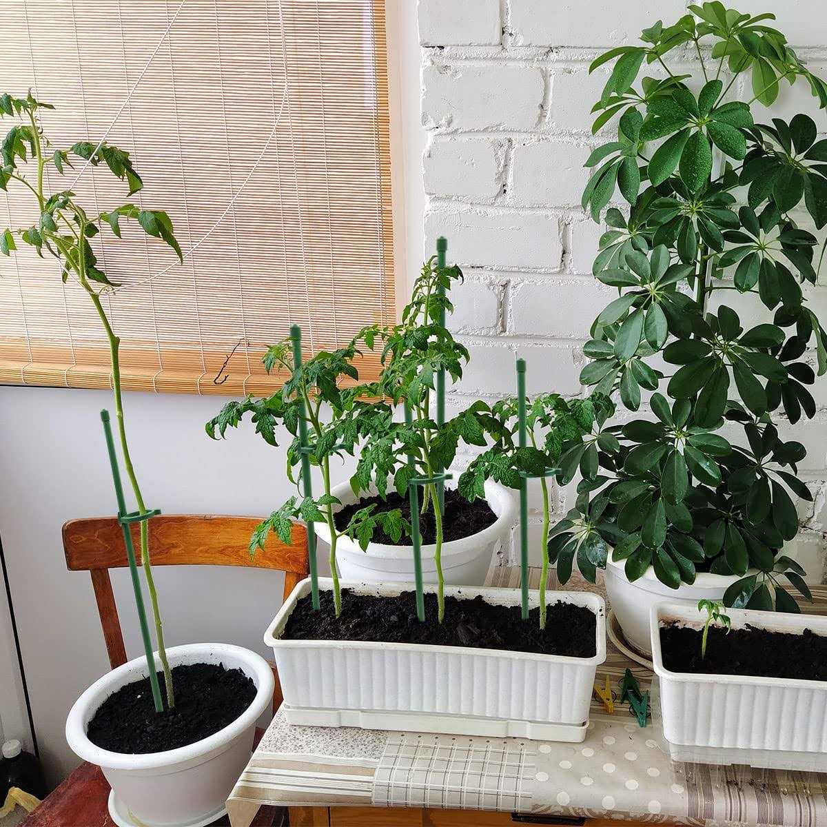 Plant Stakesgreen Plant Sticks Supporthounang Fiberglass Garden Plant Support Stakes for Potted Plants and Indoor Plants - Image 2