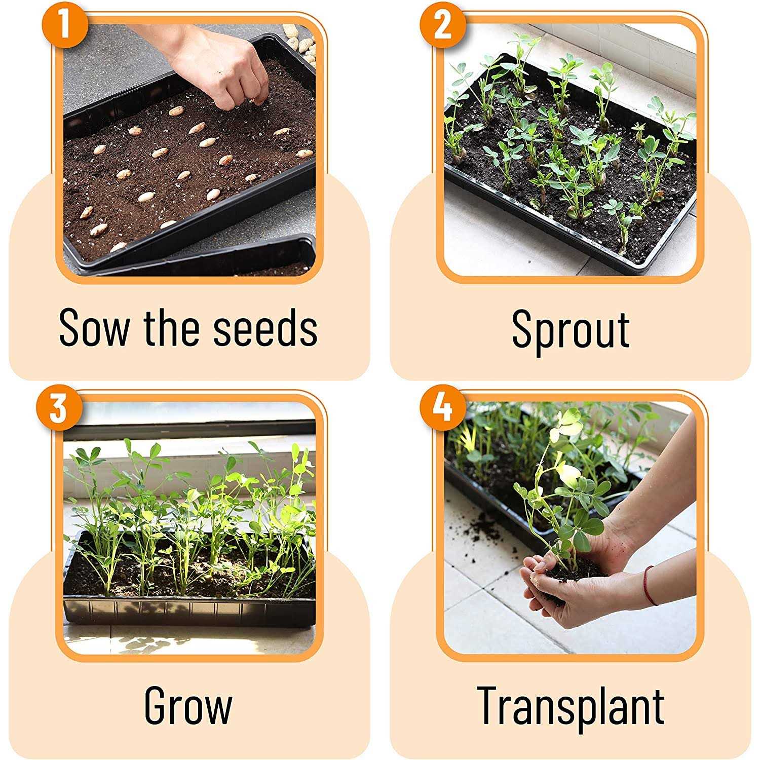 Mr. Pen Plastic Growing Trays 5 Pack Tray - Image 4