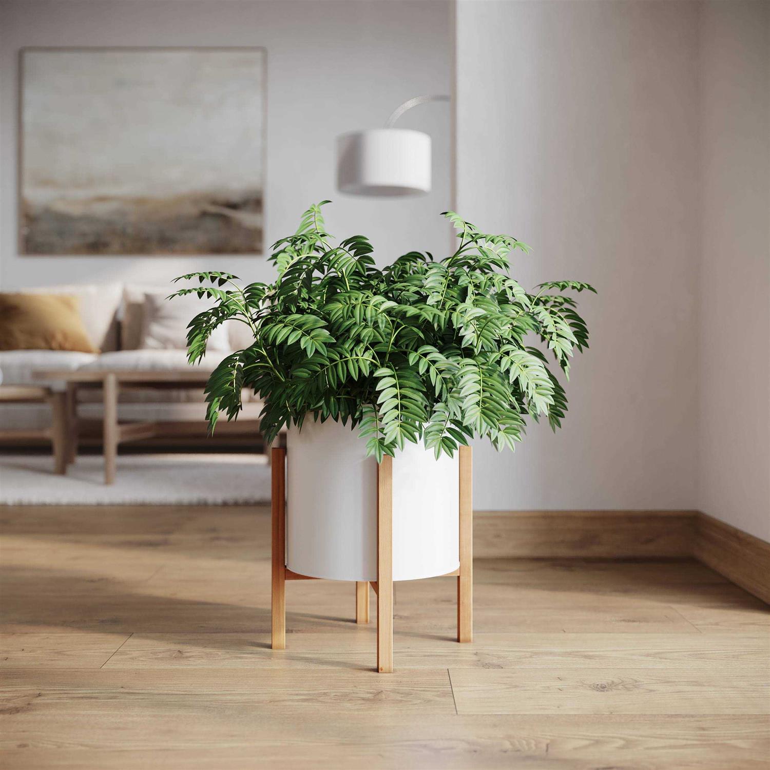 Raya White Mid-Century Modern Planter with 4-Leg Wood Base - Image 3