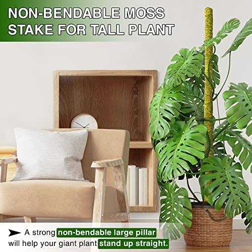 DUSPRO 59 Inches Large Moss Pole for Plants Monstera Tall Indoor Plant Stake Support for Big climbing Pothos Long Handm - Image 2