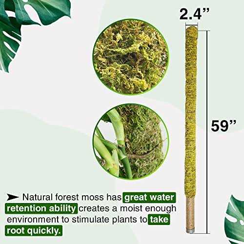 DUSPRO 59 Inches Large Moss Pole for Plants Monstera Tall Indoor Plant Stake Support for Big climbing Pothos Long Handm - Image 4