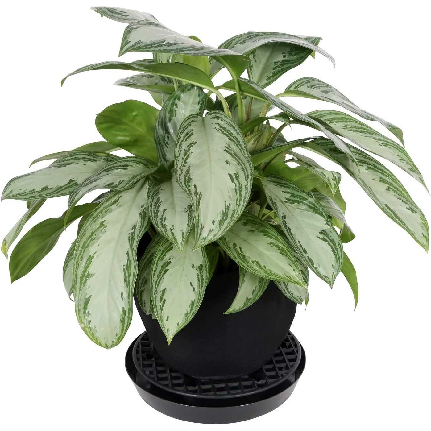 Gro Pro NX Level Pot Elevator - Image 4
