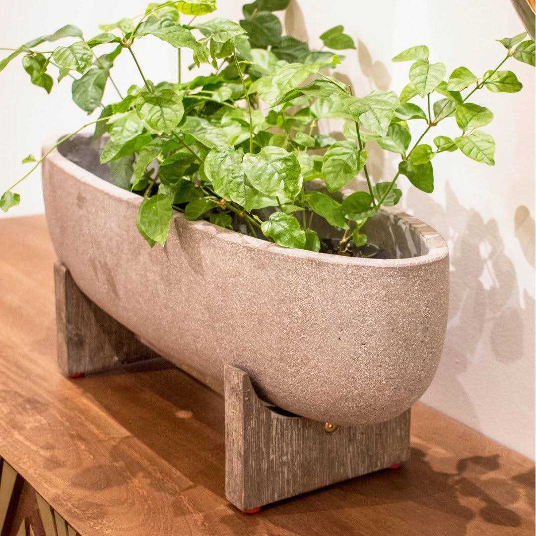 Joss & Main Jett 25 Wide Oval Standing Pot - Image 2