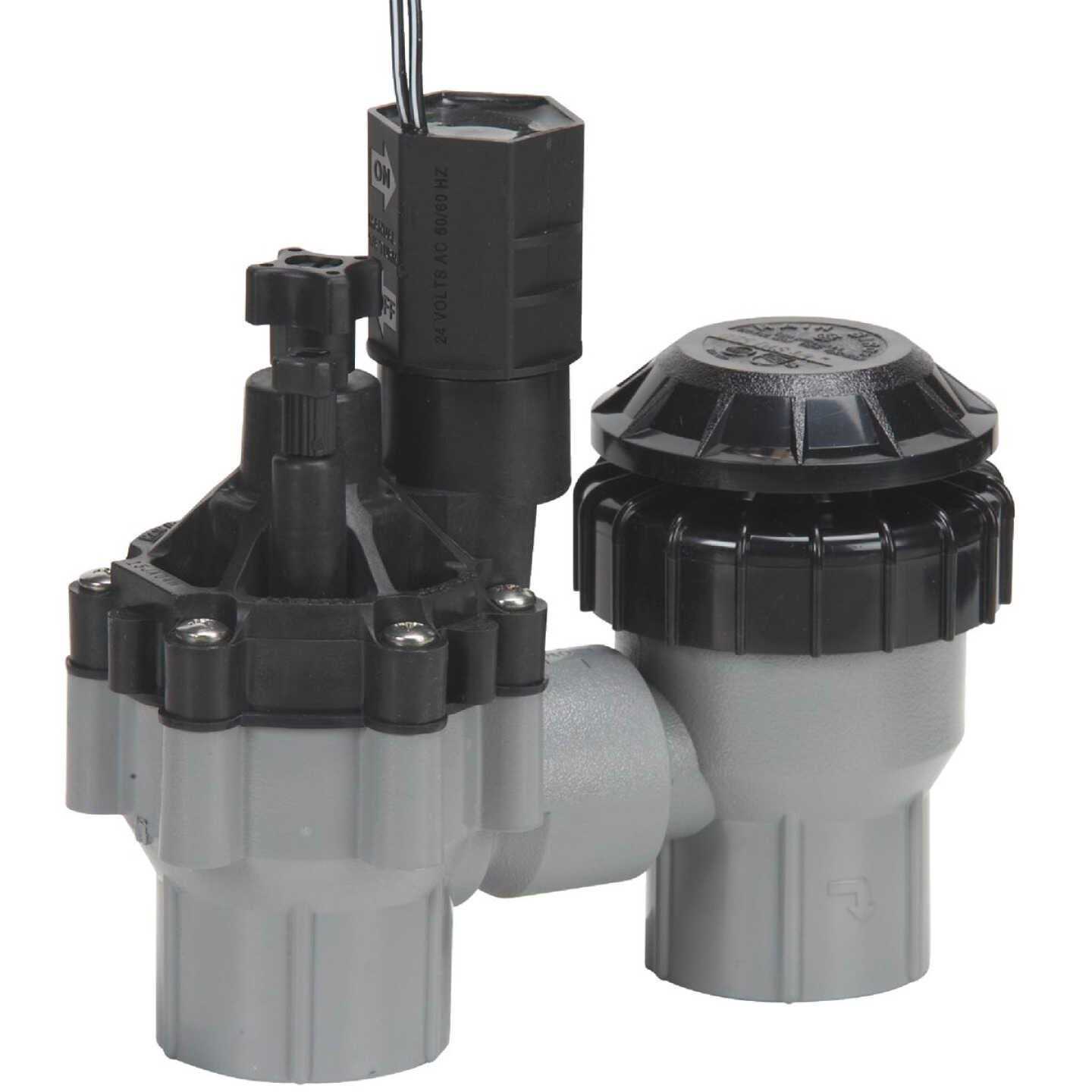 Rain Bird Anti-Siphon Valve