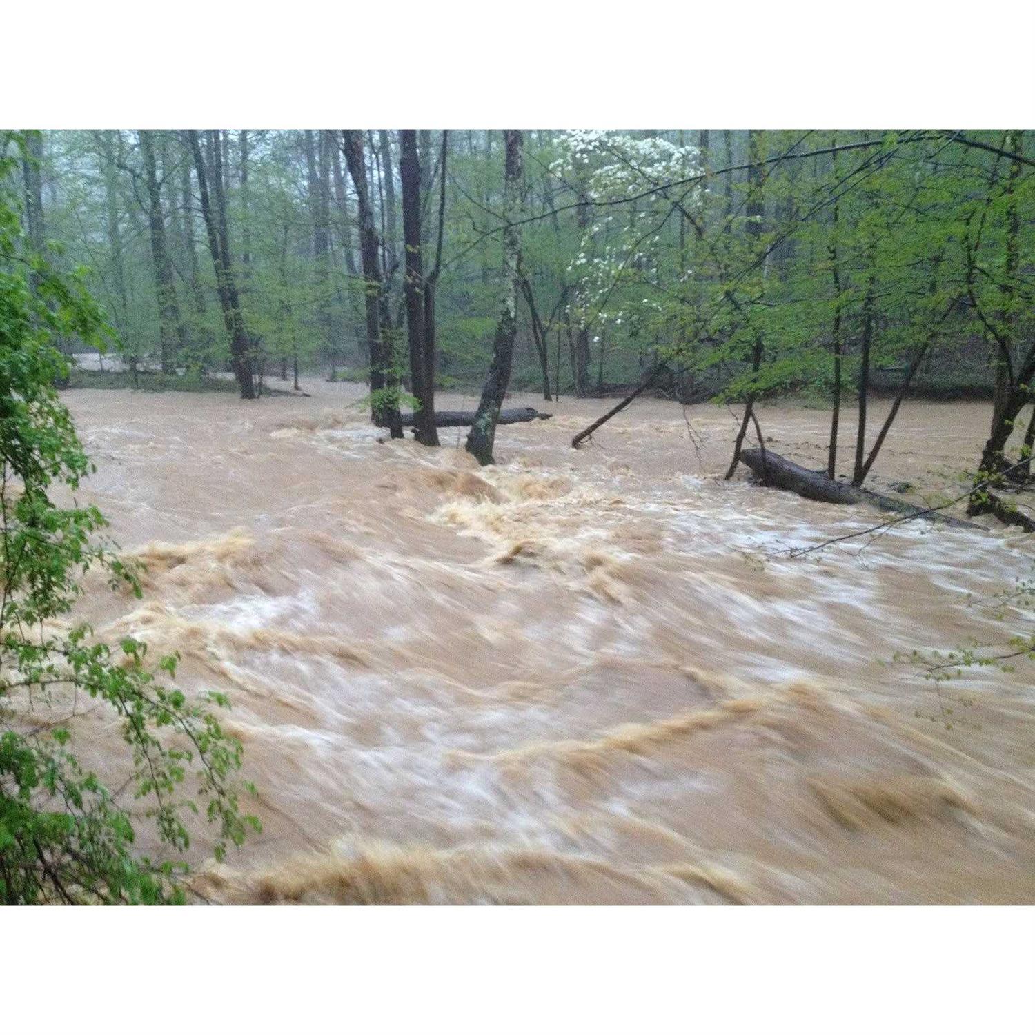 Goldn Gold Paydirt Eureka Panning Pay Dirt Bag – Gold Prospecting Concentrate - Image 2