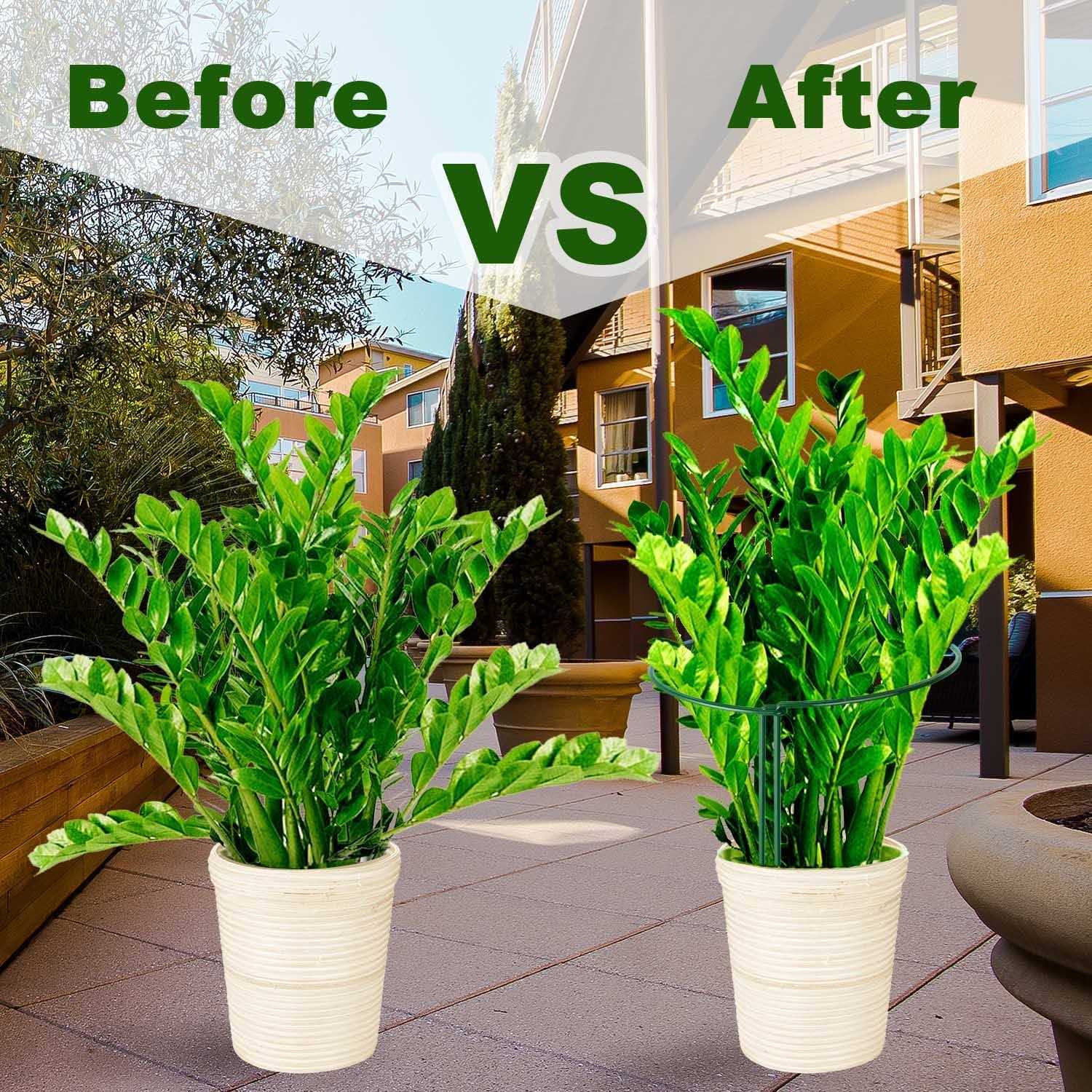 Higift Plant Support Stakes, Half Round Metal Garden Plant Peony Cages - Image 2