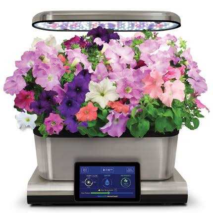 Miracle-gro AeroGarden Cascading Petunia 6-Pod Seed Kit - Image 5