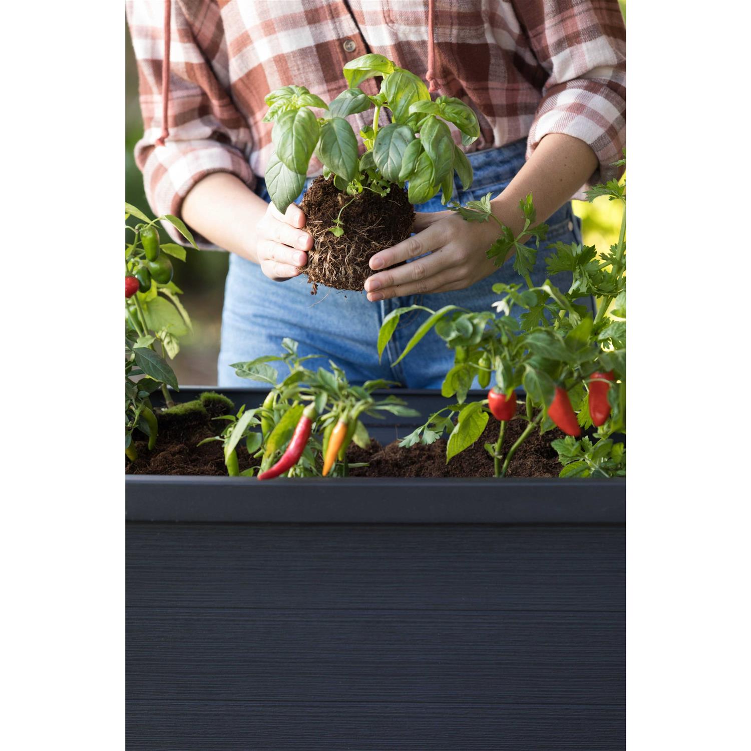 Keter 236157 Urban Bloomer Resin Elevated Planter Raised Garden Bed - Image 2