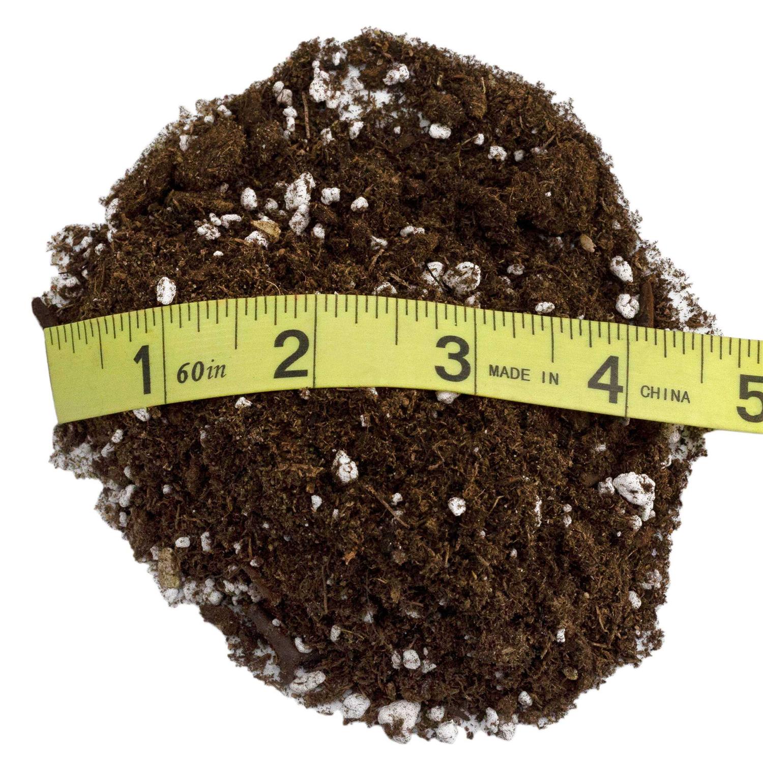 Soil Sunrise Avocado Tree Potting Soil Mix - Image 2