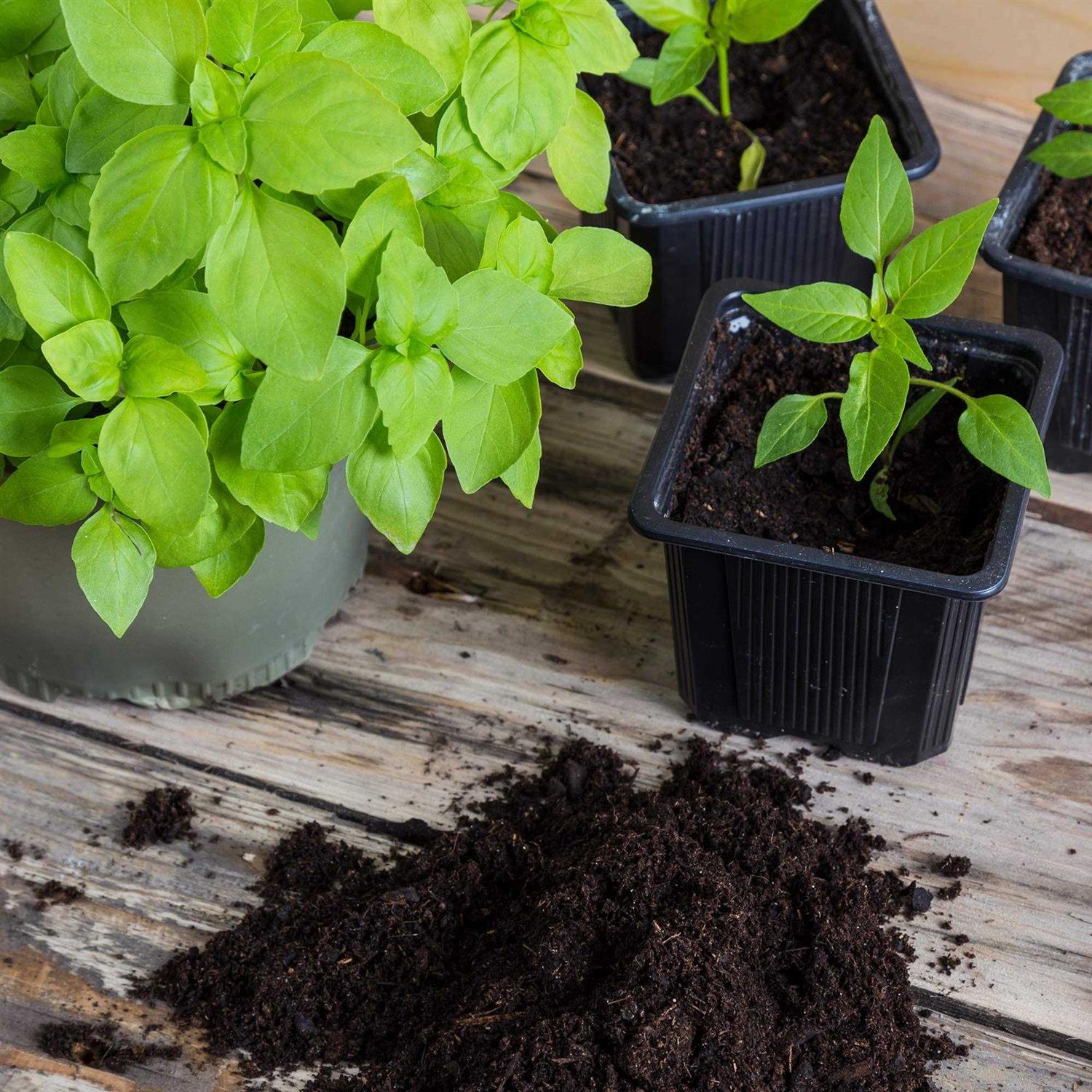 Minute Soil Compressed Coco Coir Fiber Grow Medium - Image 5