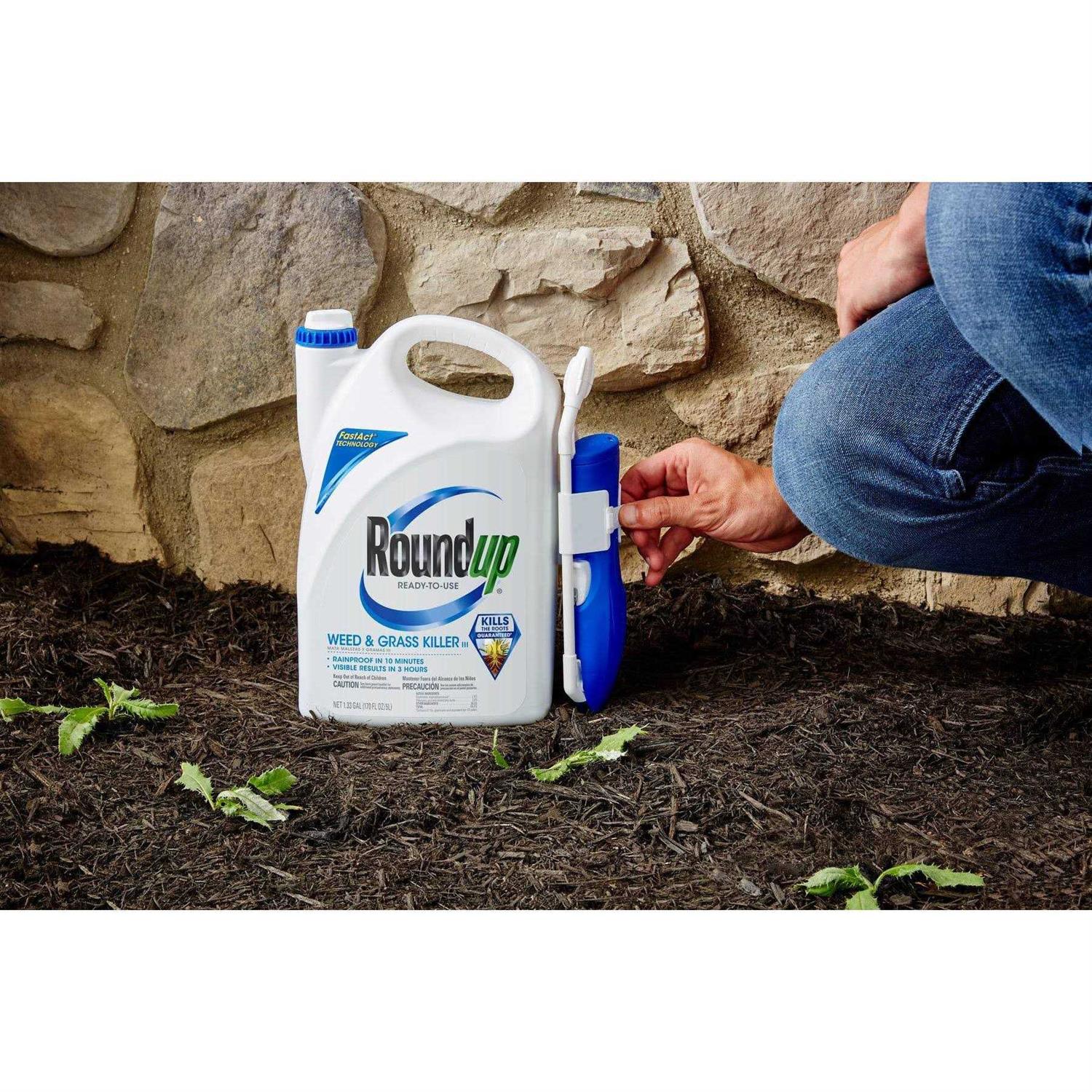 Roundup Ready to Use Weed & Grass Killer - Image 4