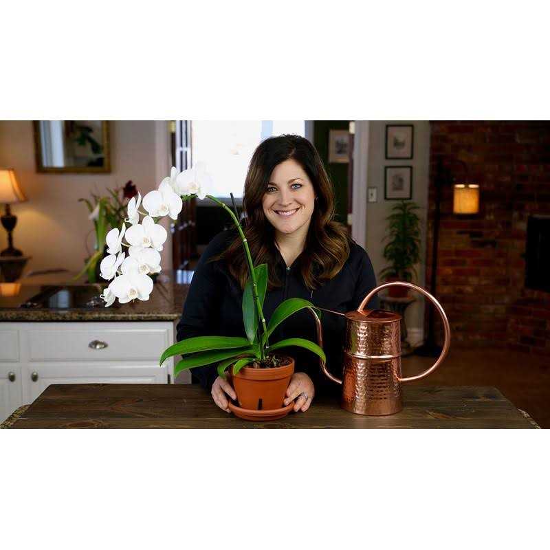 Espoma Organic Orchid Plant Food - Image 3