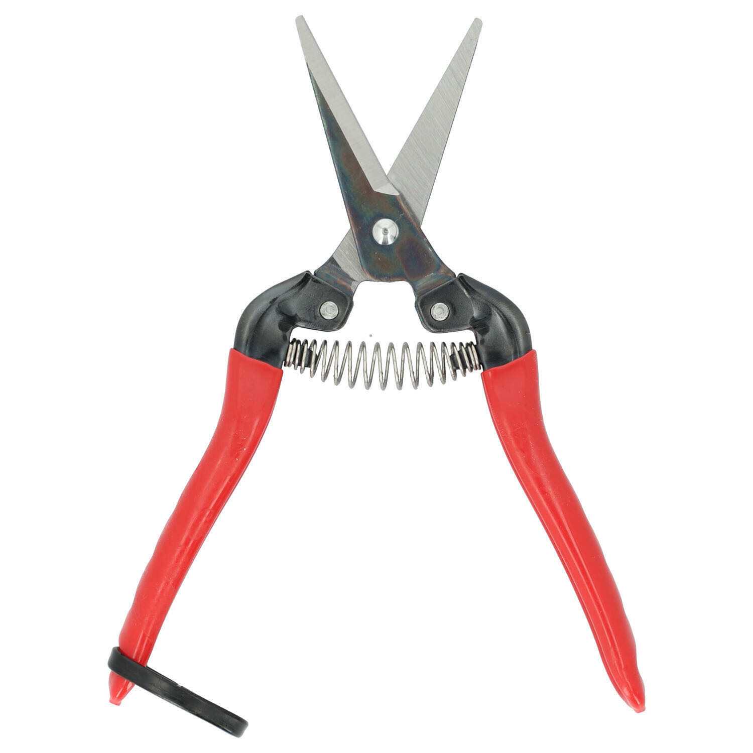 ARS Fruit Pruners 300L - Image 3