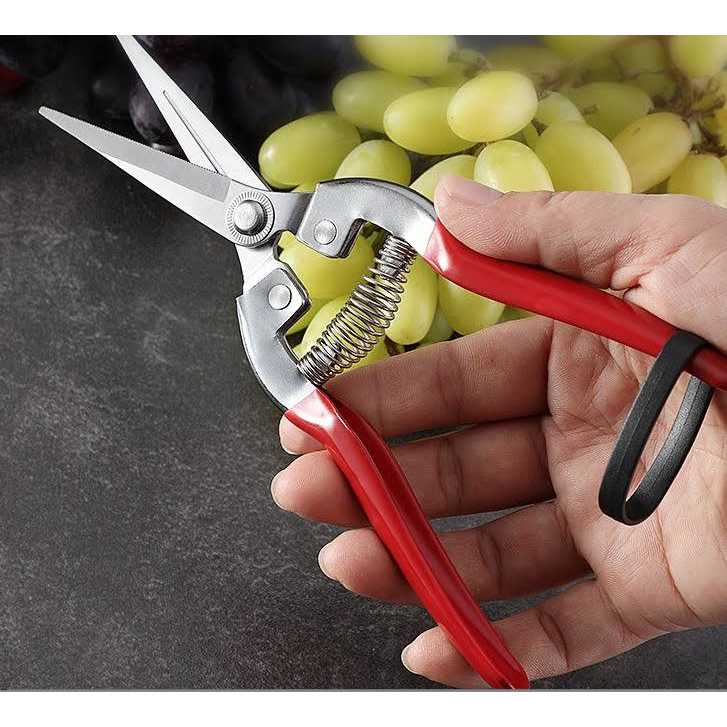 ARS Fruit Pruners 300L - Image 4