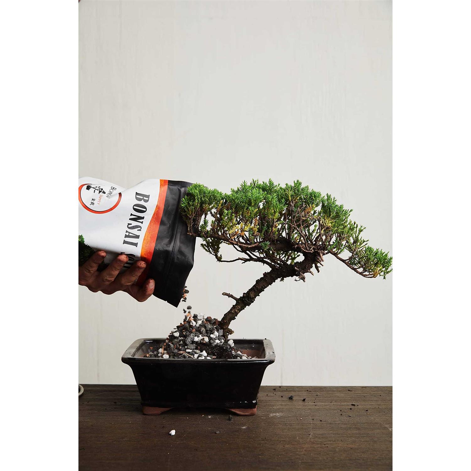 JK Global Imports Bonsai Soil by The Bonsai Supply Professional Bonsai Soil Mix - Image 2