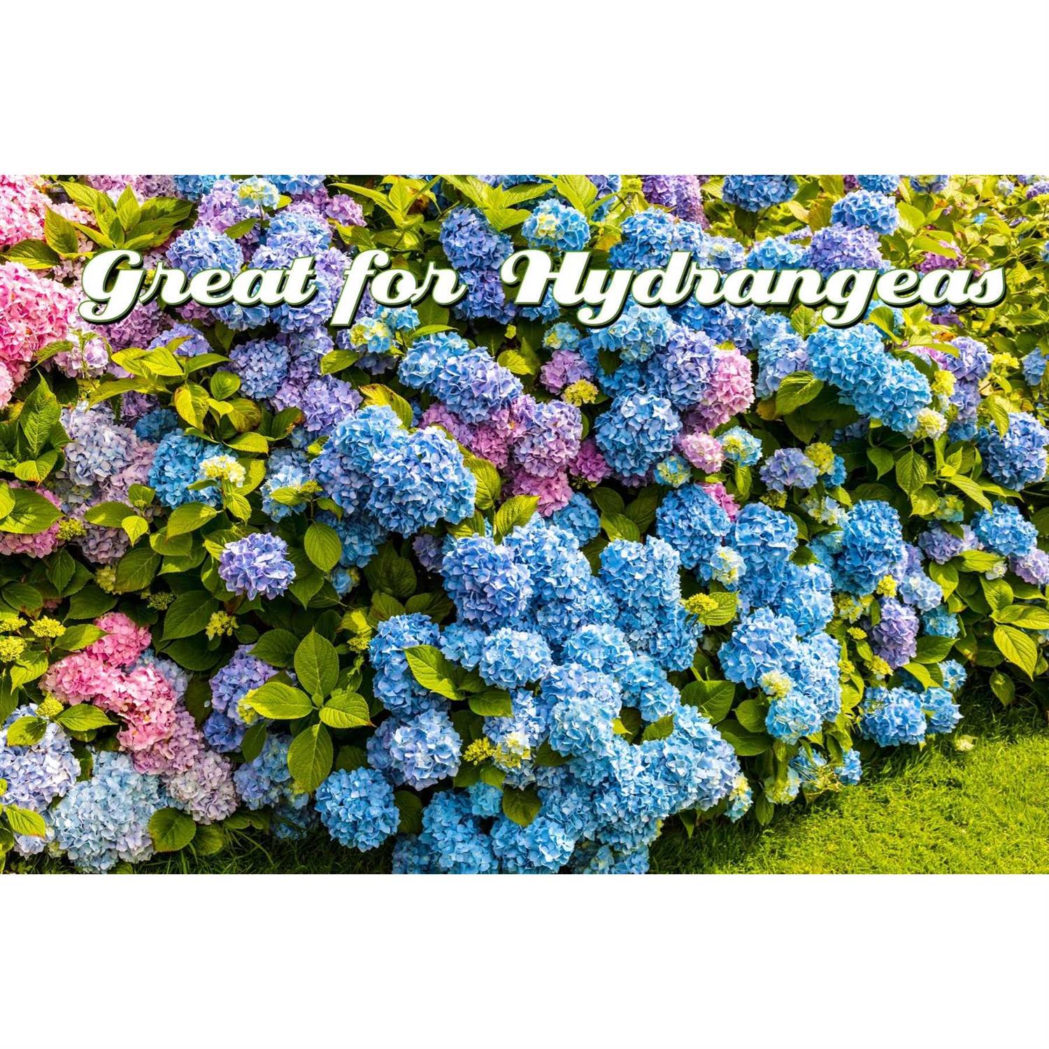 IMUSTGARDEN I Must Garden Dusting Wettable Sulfur Powder - Image 3