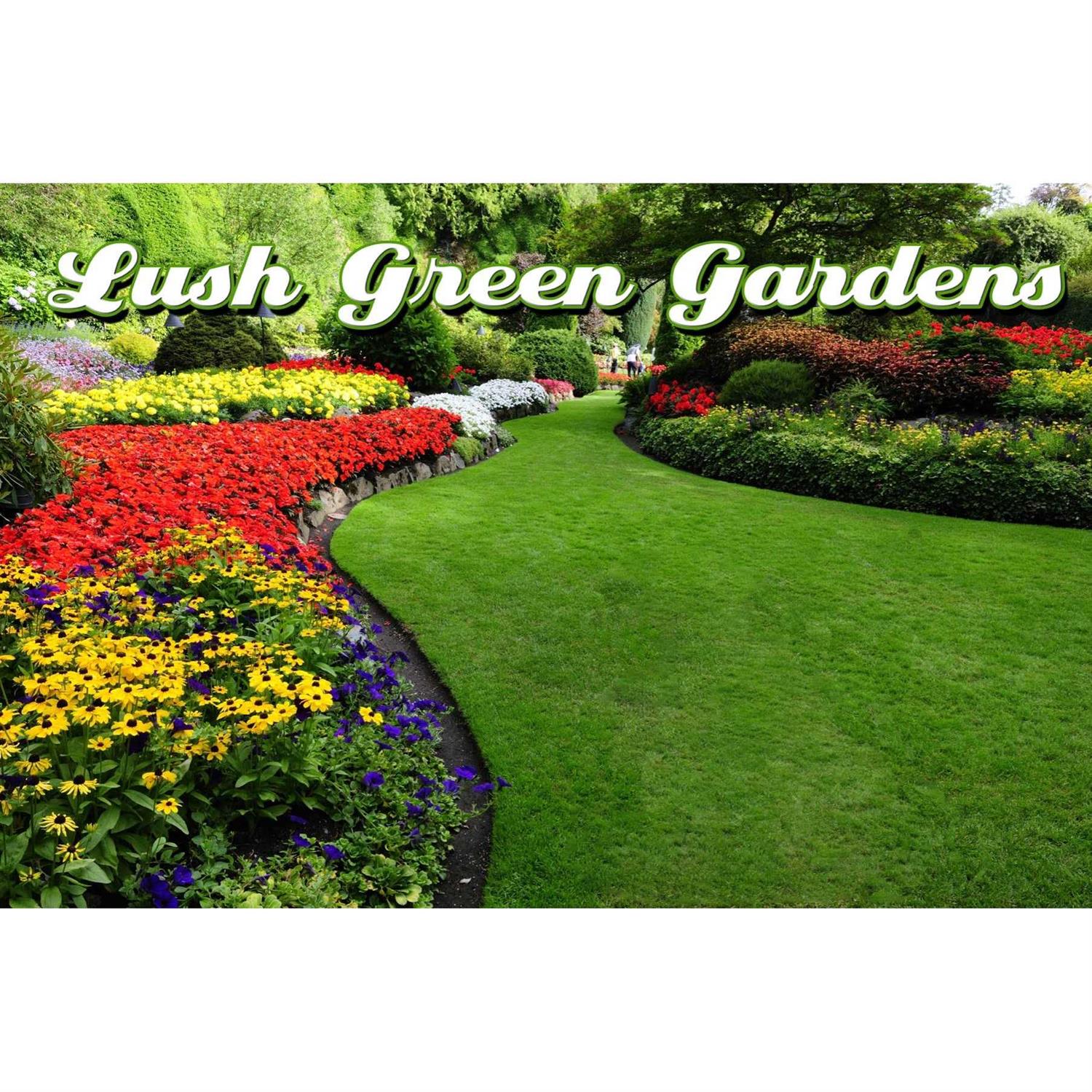 IMUSTGARDEN I Must Garden Dusting Wettable Sulfur Powder - Image 4