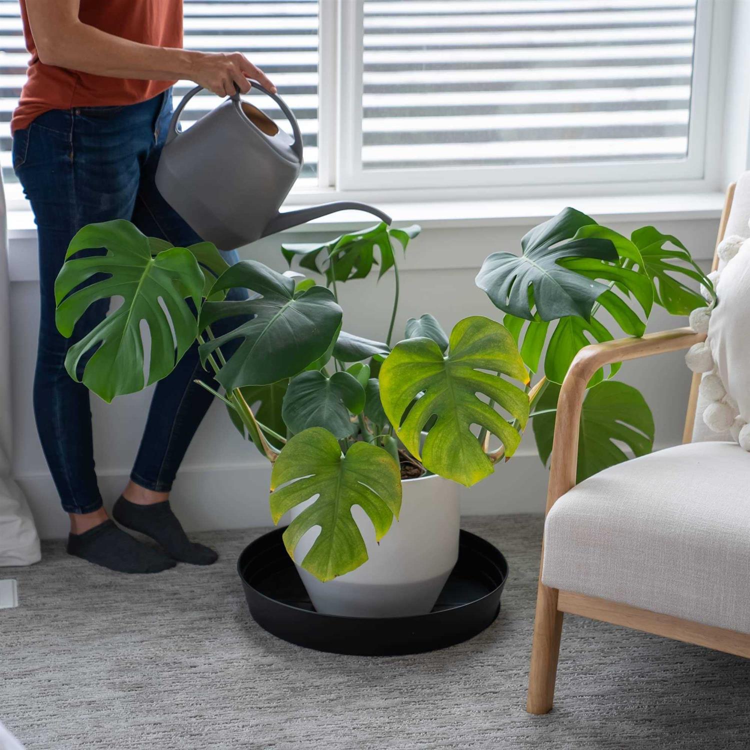 Garden Hour The Perf Garden Hour 2 Plant Saucers for Potted Plants - Image 2