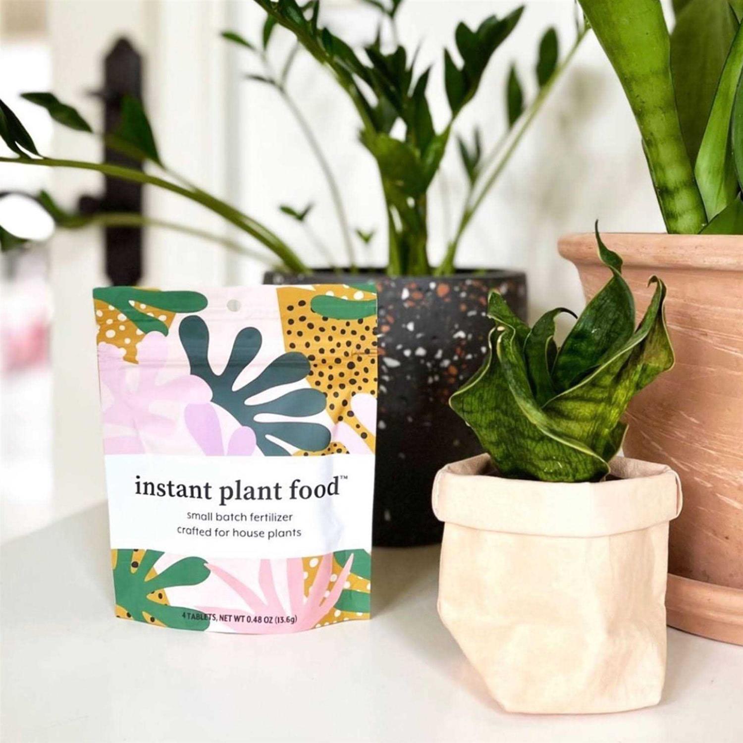 Instant Plant Food - Indoor Plant Fertilizer (4 Tablets) - Image 2