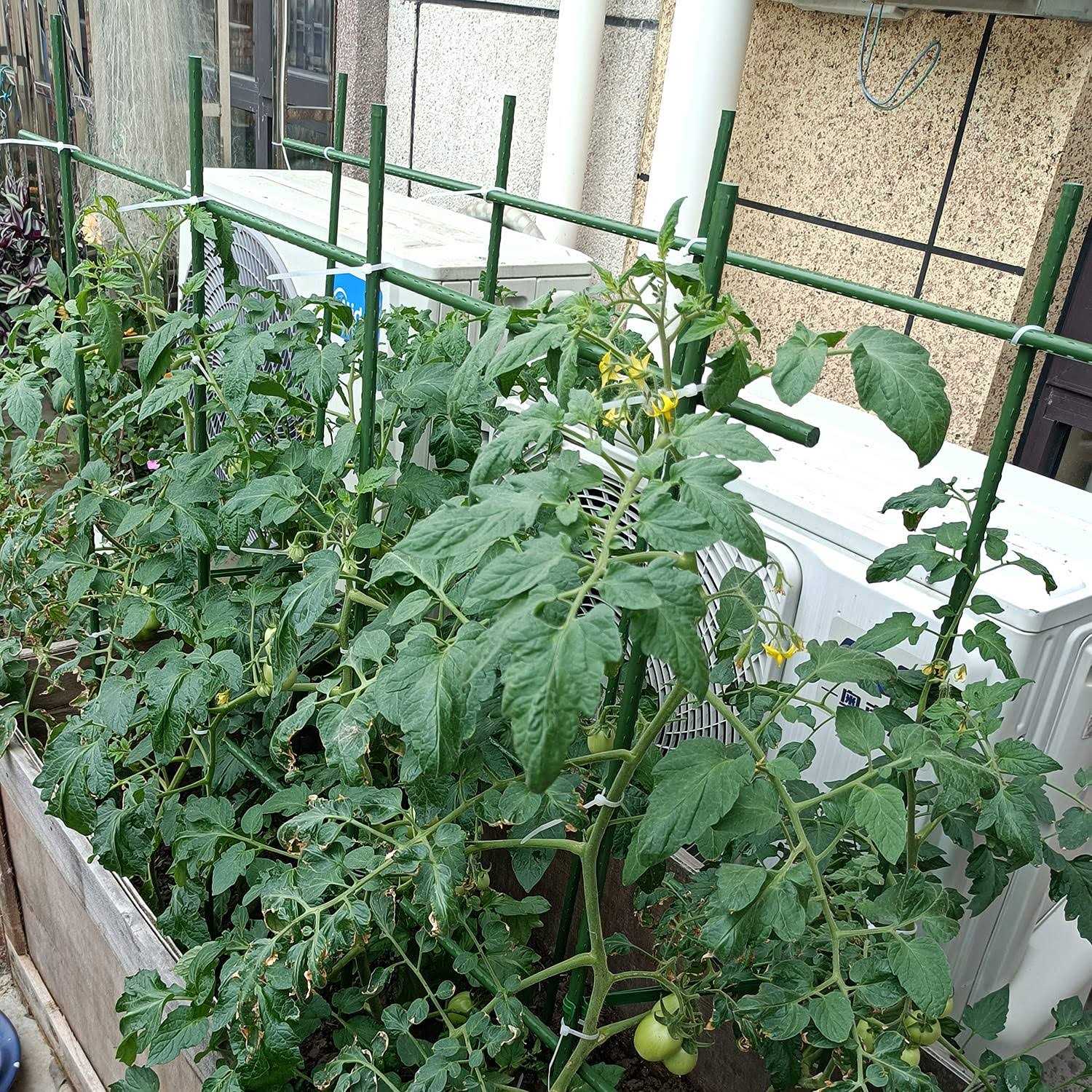 Garden Stakes Sturdy Plant Sticks Support Tomato Stakes for Vegetable,Pack of 20 - Image 2