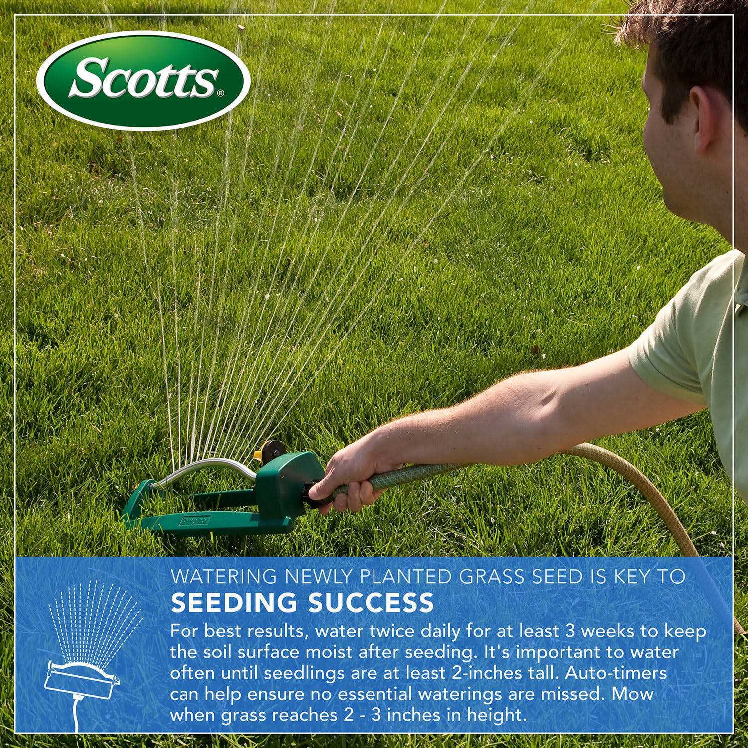 Scotts EZ Seed Patch & Repair Centipede Grass - Image 2