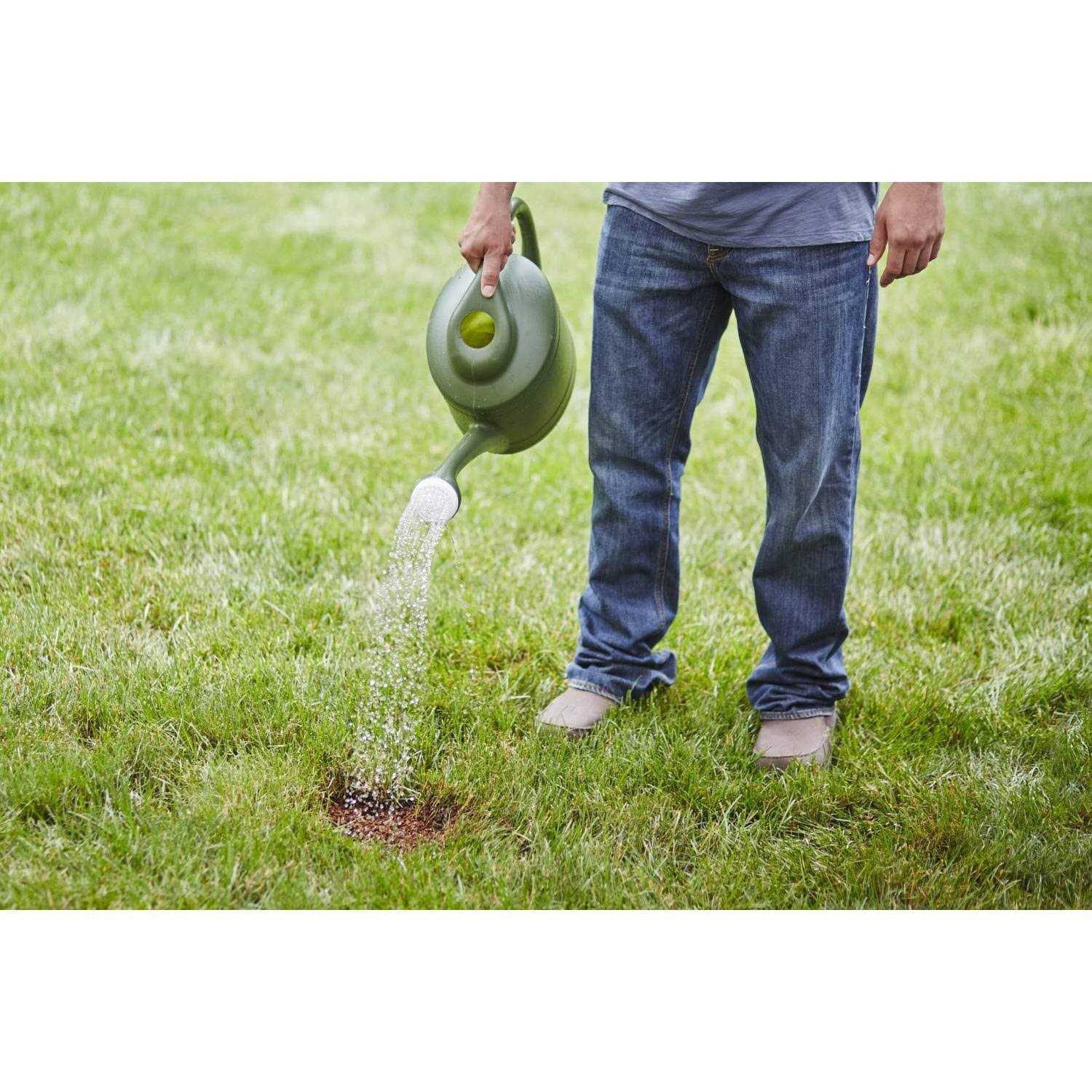 Scotts EZ Seed Patch & Repair Centipede Grass - Image 5