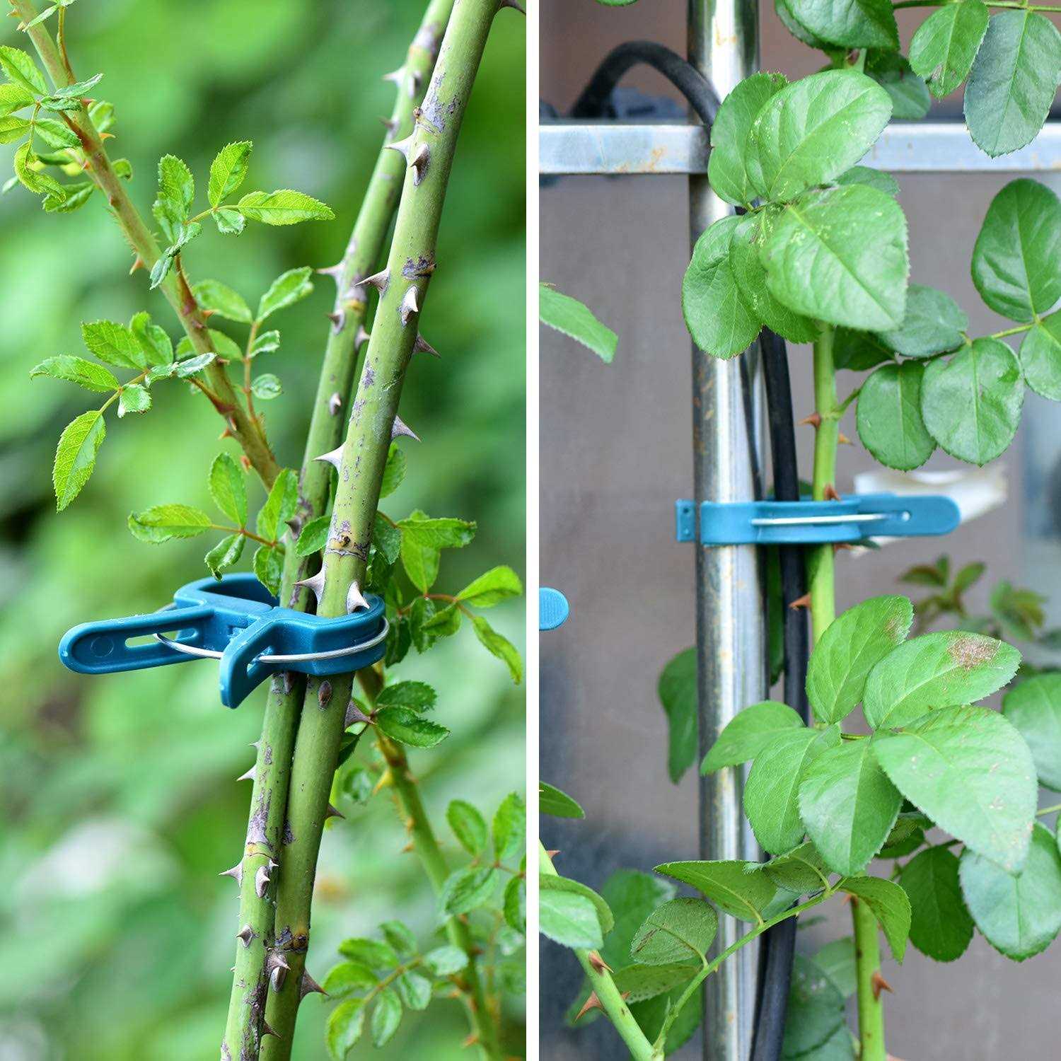 PERSZEN 60PCS Plant Clips 2 Sizes Adjusting Reusable Garden Plant Supports Clips for Supporting Stems of Flower Vine Vegetables Tomatoes Climbing - Image 2