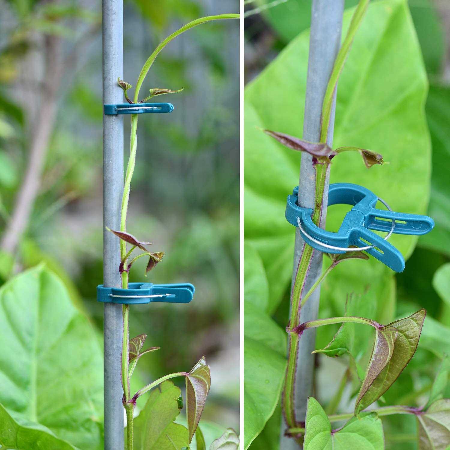 PERSZEN 60PCS Plant Clips 2 Sizes Adjusting Reusable Garden Plant Supports Clips for Supporting Stems of Flower Vine Vegetables Tomatoes Climbing - Image 3